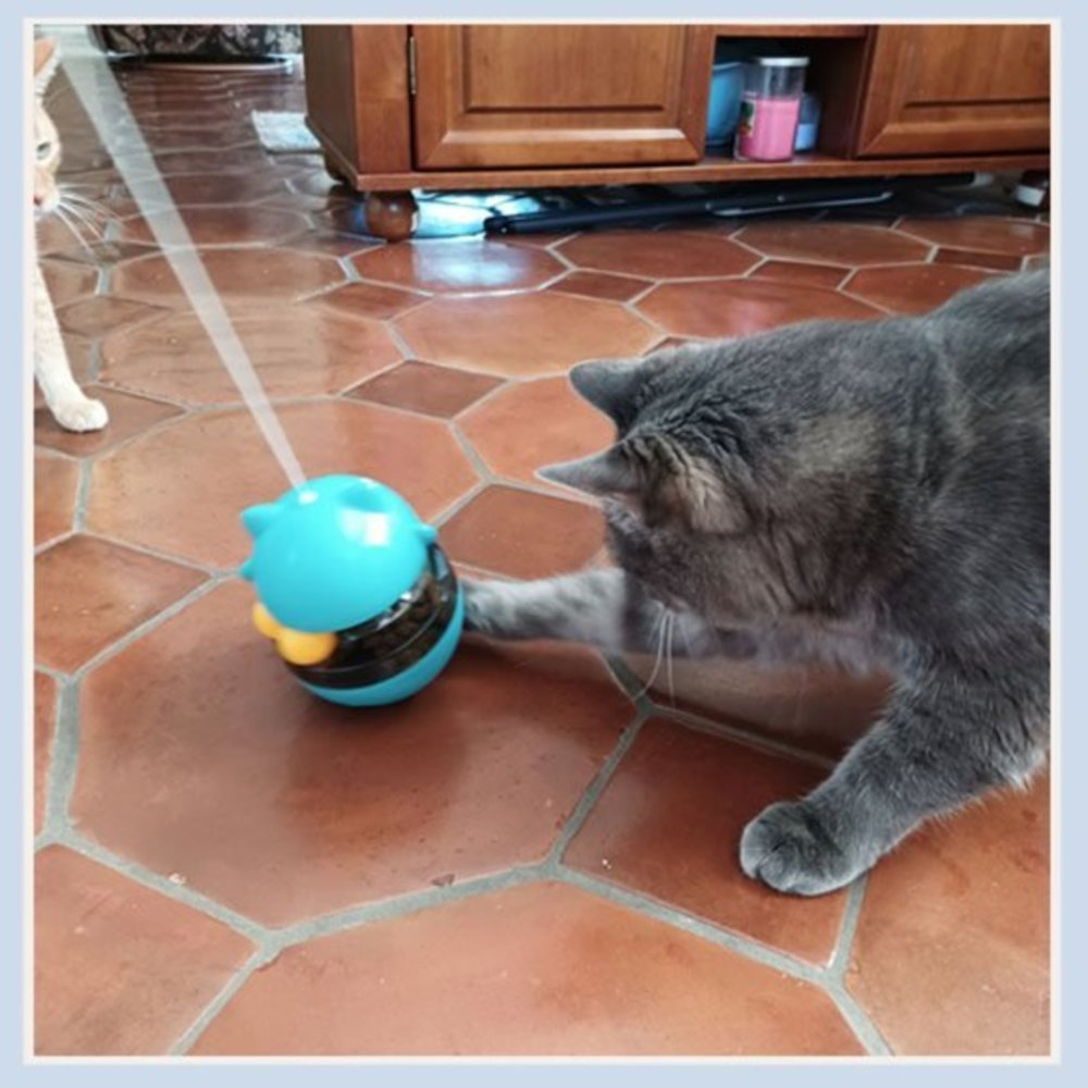 Fortune Cat Tumbler Ball, Cat Food Toy, Cat Toy TWO LEFT! - Picture 6 of 7